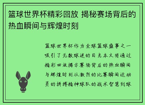 篮球世界杯精彩回放 揭秘赛场背后的热血瞬间与辉煌时刻